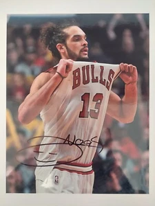 Joakim Noah Signed Chicago Bulls 8x10 Photo - MINT - Picture 1 of 1