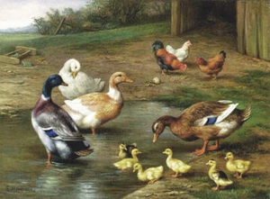 Ducks Ducklings Chickens Farm yard Pond by Edgar Hunt - Picture 1 of 1