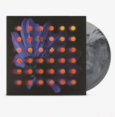 Anberlin Nevertake Grey Marble Signed Autographed Vinyl LP IN HAND - Imagem 1 de 4