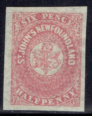 Newfoundland #21 mint stamp with part of original gum - Image 1 of 2
