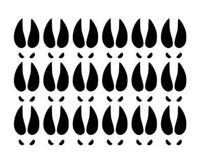 WRENGIFTS 16 EA Deer Tracks Vinyl Decal Stickers - Buck Hunters Made In USA - Select Color