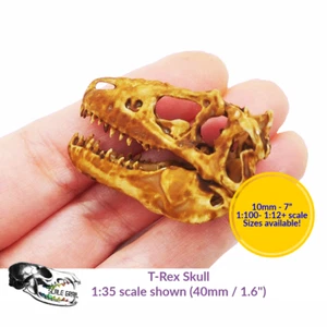 T-Rex Skull (Field Bones Core Series: Extinct) miniature replica The Scale Grail - Picture 1 of 8