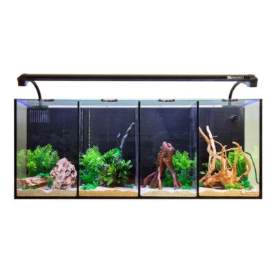 Aqua One Betta Quad Aquarium