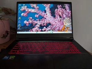 MSI Thin GF63 12UC Intel Core i5 12450H 512GB SSD 16GB 15,6" 144Hz RTX3050 Gamer - Bild 1 von 5
