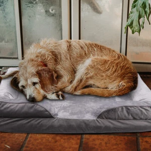 Large Orthopedic Memory Foam Pet Dog Bed Jumbo Soft Mattress Removable Cover New - Picture 1 of 22