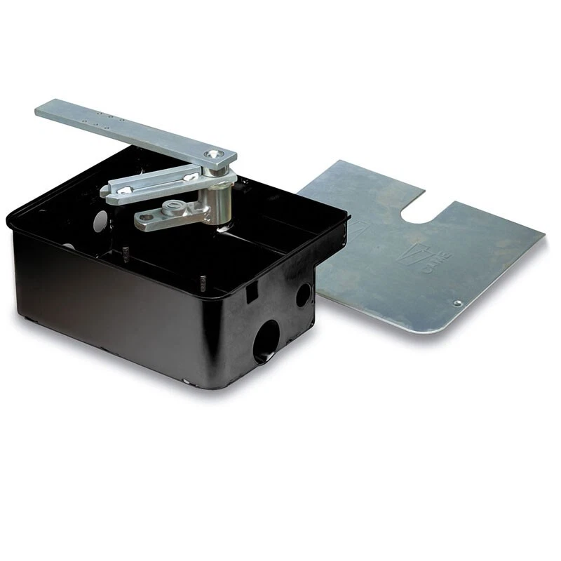 CAME FROG-BN FOUNDATION BOX