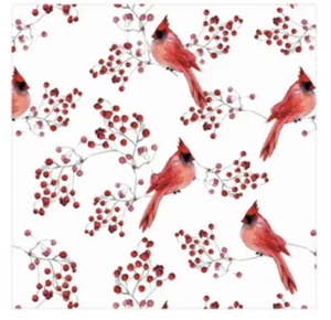 Harman - Cardinal Cocktail Napkins 20pk - 9311612C - Picture 1 of 1