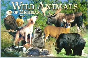 Wild Animals of Michigan Photo Art Postcard - Picture 1 of 2