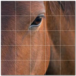 Horse Ceramic Tile Wall Mural PT500754. 25.5" W x 17" H (24) 4.25 tiles - Picture 1 of 1