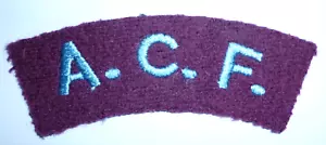 ARMY CADET FORCE SHOULDER TITLE PARACHUTE REGIMENT AFFILIATION. - Picture 1 of 1
