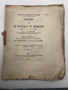 Thèse - Etude expérimentale sur l'action thérapeutique et physiologique de l'ipé - Foto 1 di 5