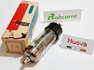 Antica Valvola Elettronica Electronic Tube Nuova RFT EL36 Tv Radio - Imagen 1 de 3