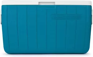 48qt Insulated Portable Cooler, Hard Cooler Great for Camping, Tailgating, Beach - Picture 1 of 5