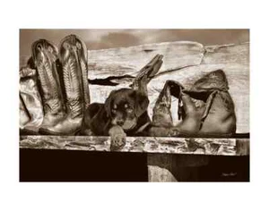 Big Foot by Barry Hart Whimsical Black&Tan Cowboy Puppy Dog Art Print 24x16 In - Picture 1 of 1