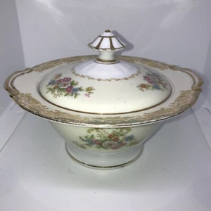 Hand Painted Noritake Vintage Sugar Bowl, EXCELLENT CONDITION ~ Japan - Picture 1 of 11
