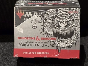 Magic The Gathering - Adventures in the Forgotten Realms - Collector Booster Box - Picture 1 of 2