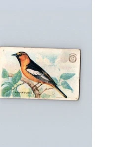 1918 Arm & Hammer Useful Birds America Bullock's Oriole No 8 - Picture 1 of 2