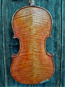 Rare Geige lab. "P. VARENI NEAPOLI 1910"  - Nice old violin