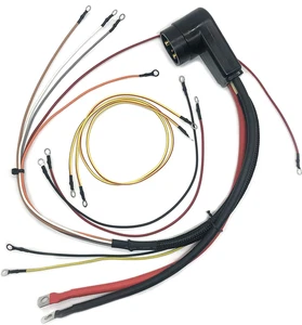 ARNÉS CDI MERCURY / MARINER 40-150 HP 414-2770 46905 52770 52771 84-69236 - Imagen 1 de 6
