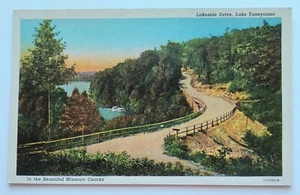 Branson MO Missouri Lakeside Drive Lake Taneycomo Beautiful Ozarks Postcard D7 - Picture 1 of 2