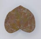 Heart Shaped Leaf Detailed Slab Art Pottery Fired Clay Trinket Dish