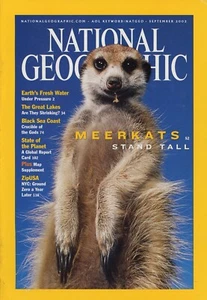 National Geographic Magazin Erdmännchen Ständer hoch September 2002 - Bild 1 von 2