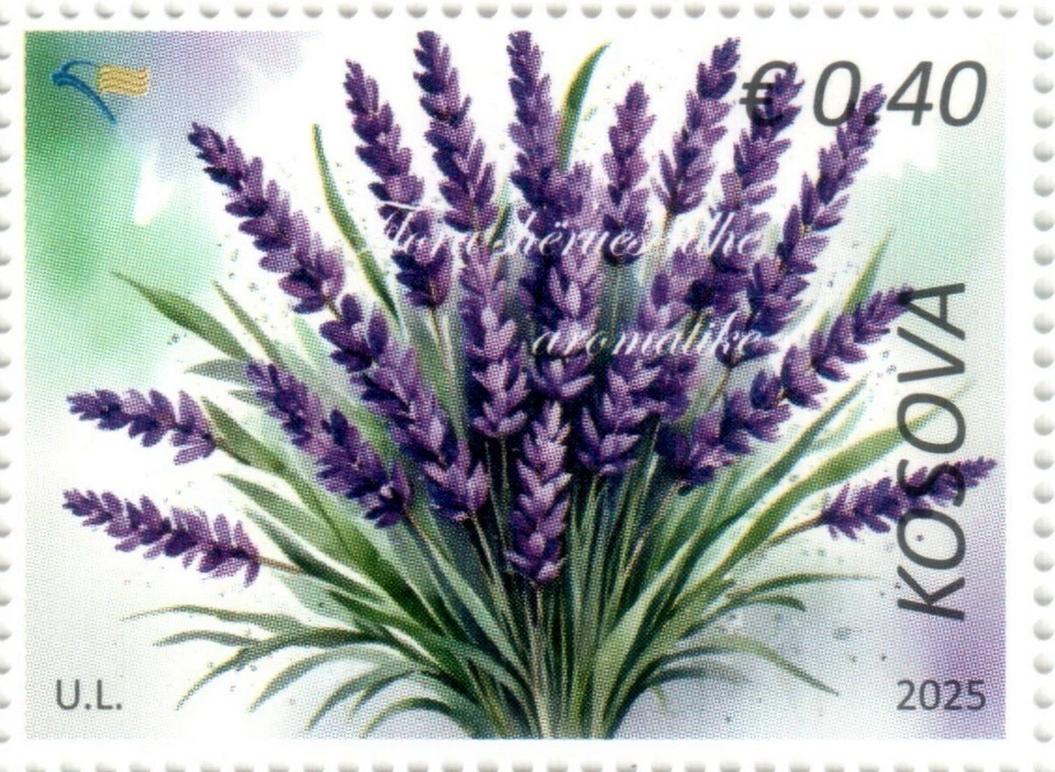 Estampillas de Kosovo 2025. Flora curativa y aromática, flores. Único definitivo. MNH Foto 1 de 1