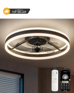 Modern Ceiling Fans, 20 Inch Black Ceiling Fan with Lights and Remote Control, A - Picture 1 of 9