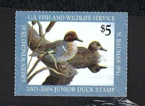 200-04 JDS11 Junior Duck Stamp $5 Green-Winged Teals XF-MNH - Picture 1 of 2