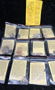 LOT Rocks, Teeth, Ammonite, Fish, Algae, Coral, Trilobite, Fossilized, + Others - Picture 1 of 9