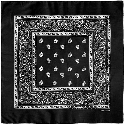 12 Pack Bandanas Multipurpose Cotton Novelty Paisley Bandana Headband Men Women - Image 1 of 4