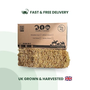 Oat Straw Bale Box High Nutrition Fresh Natural Rabbit Guinea Pig Food Fodder - Picture 1 of 11