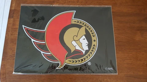 OTTAWA SENATORS LARGE CAR MAGNET *NEW* Cover