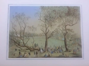 Print Melbourne Cricket Ground International Match all England Xl Victoria XXll - Picture 1 of 1