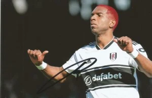 FULHAM: RYAN BABEL SIGNED 6x4 ACTION PHOTO+COA - Picture 1 of 1