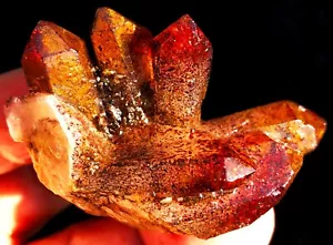 43,0g Quarzo Fuoco Grappolo Lepidocrocite Accendi la tua Passione Scopo ip1922 - Foto 1 di 18