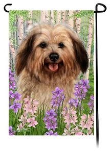 Spring Flowers Garden Flag - Fawn Sable Havanese - Picture 1 of 1