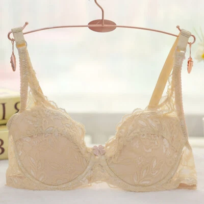 Sujetador minimizador transparente de encaje sin relleno con aros cobertura completa para mujer talla grande EF Foto 1 de 4