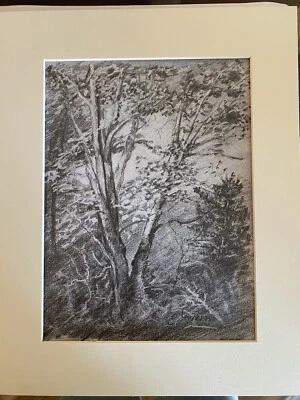 Dibujo gráfico de paisaje de árbol boceto artístico original firmado Foto 1 de 4