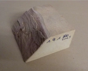 Ahorn Holz Drechselholz Schmuckholz Messergriffe Brett  Pen Blanks basteln Klotz - Bild 1 von 3