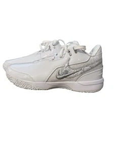 NikeZoom LeBron NXXT Gen AMPD 'Blanco Plata - Talla 9 - Imagen 1 de 6