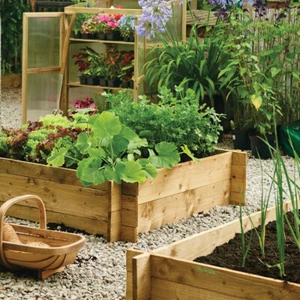 Wooden Raised Bed Garden Grow Vegetable Fruit Herbs Easy Assembly 1m x 1m x 30cm - Picture 1 of 2