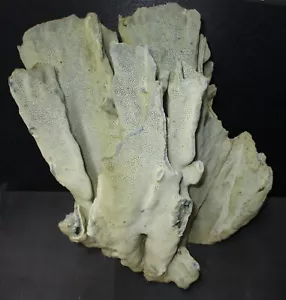 Originale decorazione acquario acquario salata corallo fossile blu duro decorazione 11x10x13 - Foto 1 di 6