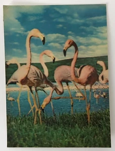 Vintage Flock of Pink Flamingos Blue Sky Lenticular 3D Postcard UNUSED - Picture 1 of 2
