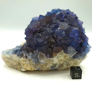 Rare Beautiful Blue Fluorite Crystal Cluster; Bingham, NM, USA; 595.47g - Imagen 1 de 5