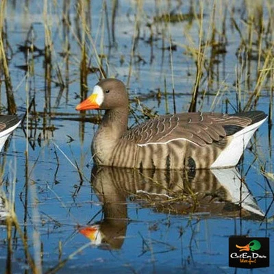 AVERY GREENHEAD GEAR GHG FFD ELITE LS SPECKLEBELLY  SPECK GOOSE FLOATER DECOYS 4 - Image 1 of 2