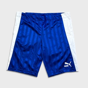 Vintage 90s Puma Shorts Mens Large Blue Logo Stripe Pocketed Athletic Gym Jaspo - Picture 1 of 6