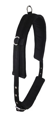 Libby's Lunging Training Roller - PolyPad lined webbing Mini, Small Pony, Pony - Image 1 of 2