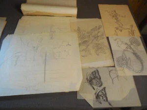 Lotto disegni vintage artista Alta Foster libro schizzi arte originale matita lnk - Foto 1 di 21