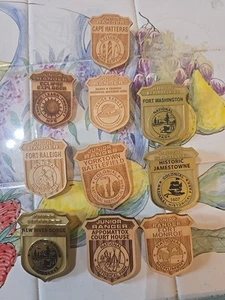 Insignias de coleccionista de madera, plástico Junior Ranger. LOTE DE 10 Lote A - Imagen 1 de 13